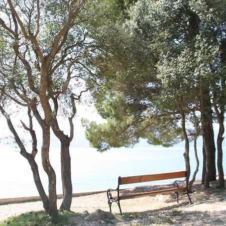 Apartmani Andreja Pinezici  Bagian luar foto