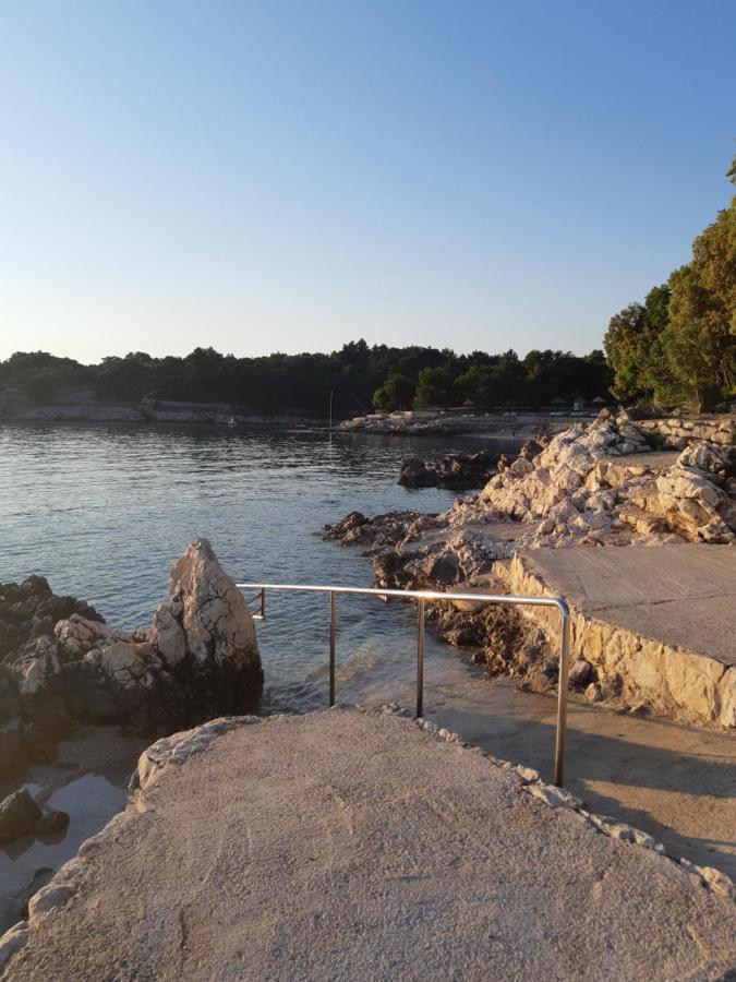 Apartmani Andreja Pinezici  Bagian luar foto